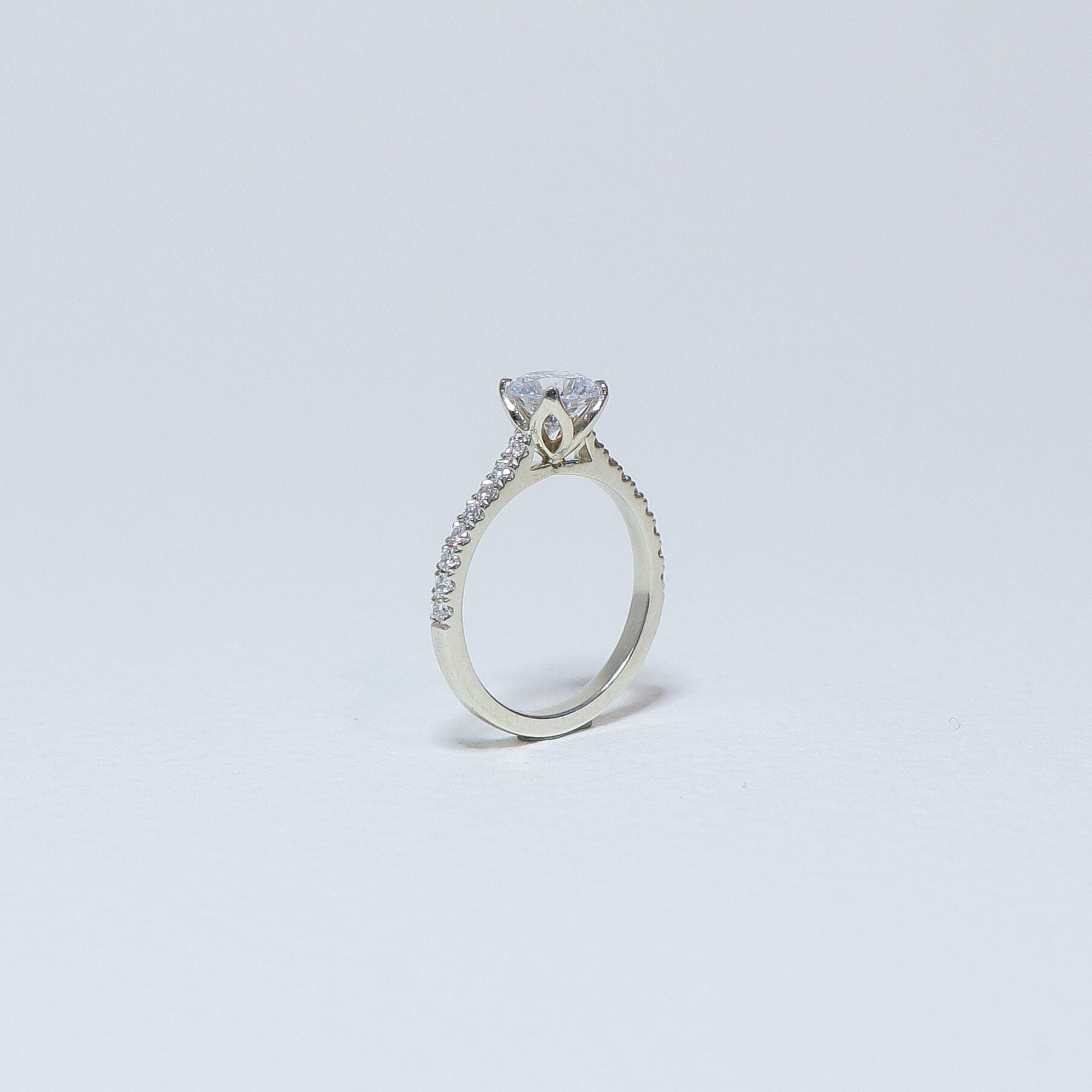Round brilliant plain fleur solitaire ring with platinum diamond set band.